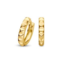 FJF JEWELLERY Creolen - FJF0030081SYG