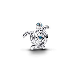 Pandora Charm - 794697C01
