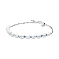 Pandora Armband - 591689C01