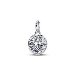 Pandora Charm - 793975C01