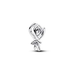 Pandora Charm - 794488C00