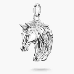 Thomas Sabo Anhänger - PE989-643-21