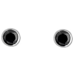 Schneider Basic Ohrstecker - Silber - SO08