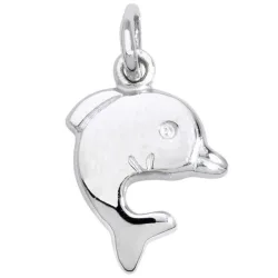 Schneider Basic Anhänger - Silber - Delfin - SK28