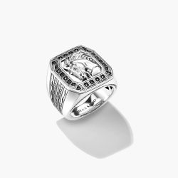 Thomas Sabo Ring - TR2533-643-11
