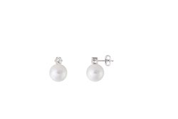 XENOX Ohrstecker - Pearldreams Basic - XS5261