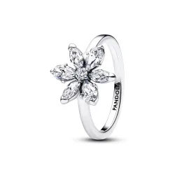 Pandora Ring - Herbarium Sparkling Flower - 193000C02