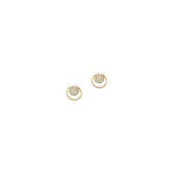 Auranto Ohrstecker - M231288