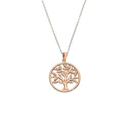 Auranto Collier - M261455