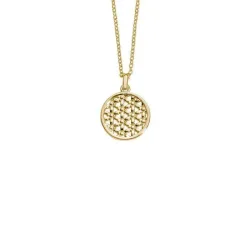 Auranto Collier - M261085