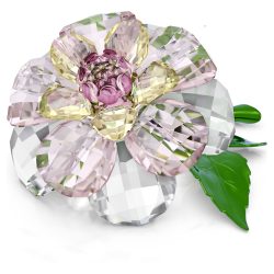 Swarovski Kristall Figuren - FLORERE - 5721538