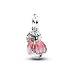 Pandora Charm - Openable flower - 764453C01