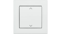 Homematic IP Tasterwippe HmIP-BRA