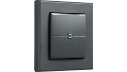 Homematic IP Wired Smart Home Wandtaster ? 2-fach, anthrazit, HmIPW-WRC2-A