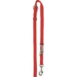 Josty Nylonleine rot 2 m, 2.5 cm