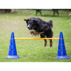 Procyon Agility Stange 100cm