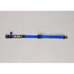 Josty Identitätshalsband für Katzen, Nylon, 12mm/33cm, blau, mit Namensschild