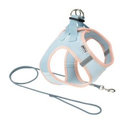 AniOne Pepe&Kitty Welpenset blau XS