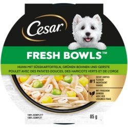 Cesar Nassfutter Hund, Adult, Fresh Bowls, in Sauce, Huhn mit Süßkartoffeln 10x85 g