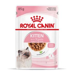 ROYAL CANIN Kitten in Soße 12x85 g