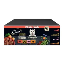 Cesar NATURAL GOODNESS Mega-Pack Terrine 4 Varietäten 24 x 100g
