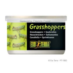 Exo Terra Heuschrecken 34g