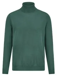 Rollkragen-Pullover Louis Sayn grün