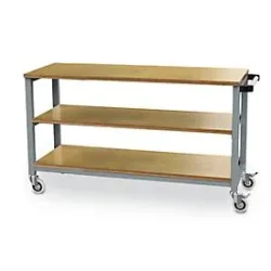 Mobiler Arbeitstisch Bedrunka+Hirth, Buche-Multiplex-Arbeitsplatten, 2 Fachböden, Schiebegriff, bis 400 kg, B 1200 x T 540 x H 880 mm, Stahlblech