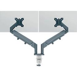 LEITZ Monitorarm ERGO 6537-00-89 grau, dual