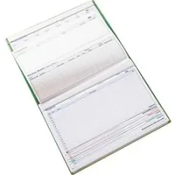 BOI Patienten-Dokumentationsmappe Professional Line, DIN A4, Klarsichttaschen, 10-farbiges Reitersystem, 4 Heftmechaniken, grün, 10 Stück