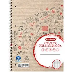 Collegeblock Herlitz Recycling, 80 Blatt, DIN A4+, 70 g/m², 4-fach gelocht, Spiralbindung, OPTIK PAPER®, kariert, Rand links, mehrfarbig