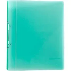 EICHNER PP-Präsentationsringbuch, A4, 2-Ring-Mechanik, grün