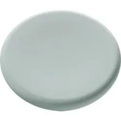 Glasboard-Magnete Legamaster, 5 Stück, ? 30 mm, sage green