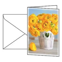 Grusskarte Sigel ?Ranunculus?, Format B6, 115 x 170 mm, mit weissen & gummierten Umschlägen, gelb, FSC®-Glanzkarton, 10 Stück