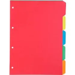 Kartonregister Schäfer Shop Select, 1er Pack, 4-fach Lochung, 160 g/qm Recyclingkarton, 5-teilig