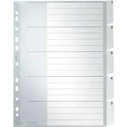 LEITZ Kunstoffregister mit Fenstertaben, DIN A4, 5 Blatt, Nr.1271