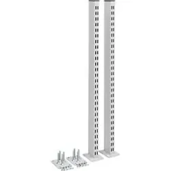 Rasterrohrpaar Treston, für TED-Arbeitstische, bis 90 kg, B 70 x T 100 x H 793 mm, Stahl, hellgrau
