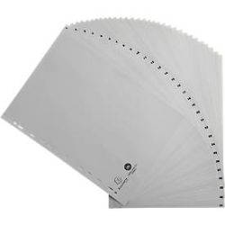Register Exacompta 1931E, Format A4, Universallochung, Taben 1-31, B 225 x H 297 mm, Blauer Engel, Recycling-Kunststoff, grau