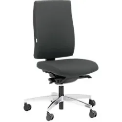 Steifensand Bürostuhl CETO CT2450, Synchronmechanik, ohne Armlehnen, Membransitz, ohne Nackenstütze, grau
