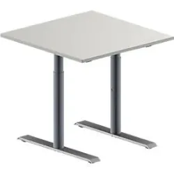 Schäfer Shop Genius Konferenztisch MODENA FLEX, Quadrat, T-Fuss Rundrohr, B 800 x T 800 x H 650-850 mm, lichtgrau/weissaluminium RAL 9006