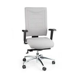 Schäfer Shop Select Bürostuhl SSI PROLINE P3+, Synchronmechanik, ohne Armlehnen, Lendenwirbelstütze, 3D-Sitzgelenk, grau