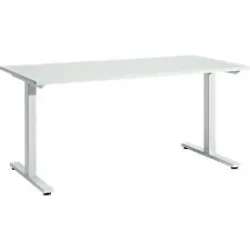 Schäfer Shop Select Schreibtisch Start Off, T-Fuss, Rechteck, Stahl/Holz, B 1600 x T 800 x H 735 mm, lichtgrau