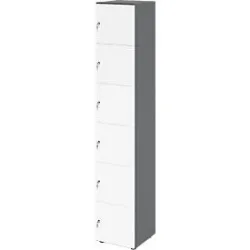 Schliessfachschrank Topas Line, 6 Ordnerhöhen, 6 Fächer, Zylinderschloss, B 400 x T 420 x H 2156 mm, graphit/weiss