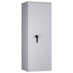 Tresor Lyra 14, Klasse 0 nach EN 1143-1, 165 l, Türanschlag rechts, Doppelbartschloss, 3 Fachböden, B 500 x T 420 x H 1400 mm, lichtgrau RAL 7035