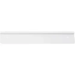 Wandschiene ORDO Professional, für Rückwand-Element, magnethaftend, beschriftbar, B 550 x T 1 x H 90 mm, Stahl, verkehrsweiss RAL 9016
