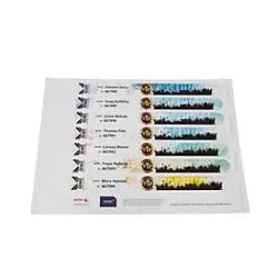 Xerox Premium NeverTear Wristbands, 120 µm, weiss, wasserfest, perforiert, A4-Format, 100 Blatt, 8 Stk./Blatt