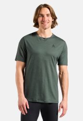 Odlo Merino 160 Base Layer T-Shirt für Herren - Wandern, Ski & Snow - grün, S