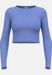 Odlo Active 365 Seamless Langarm-Laufshirt für Damen - Training, Running - lila, XS