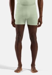 Odlo Merino 160 Boxershorts für Herren - Wandern, Ski & Snow - grün, XXL