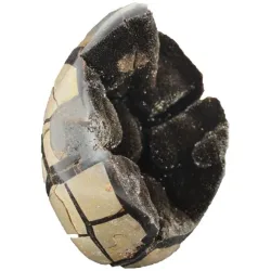 Septarienei Freeform, ca. 10-12 cm